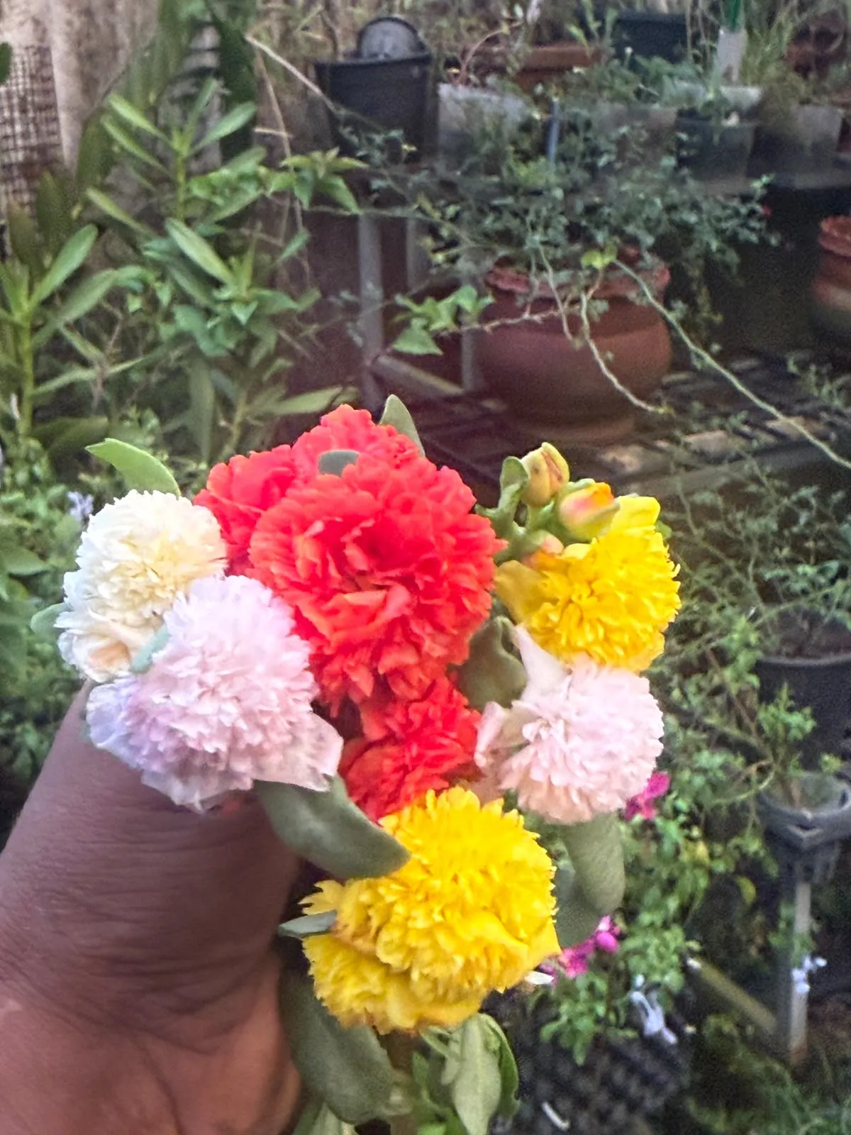 Adukku Pathumani – 20 Colour Combo